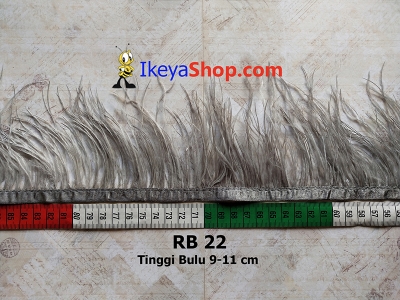 RB 22  large2